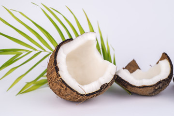 coconut on white background