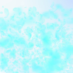 Fototapeta na wymiar Turquoise flower petals falling down. Neat romantic flowers gradient. Flying petal on blue sky squar
