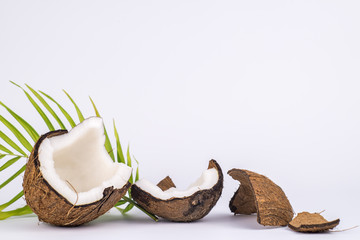 coconut on white background