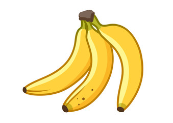 Banana fruit vector cartoon illustration. Bunch of ripe bananas, healthy food, nutrition, diet, vegetarian theme simple icon design element isolated on white.