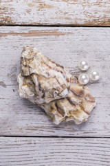 Auster mit Perlen auf rustikalem weißen Holz als Hintergrund für Luxus und Weihnachten