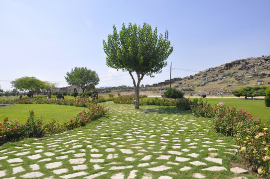 Yalnız Ağa&ccedil;