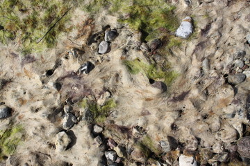 Stones on the beach