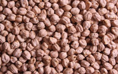 Chick-pea