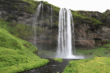 Seljalandsfoss waterfall of Iceland with beautiful green meadow and river in foreground.