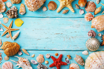 Collection of various sea shells on wooden board with copy space in center, top view
