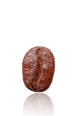 Roasted coffee bean.