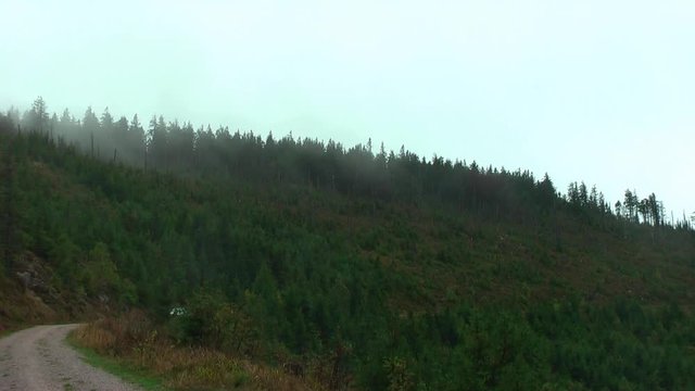 Germany. Region "Black Forest". Strong wind in the mountains. Fast flying clouds.