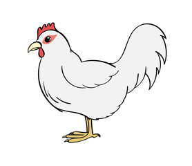 Hen