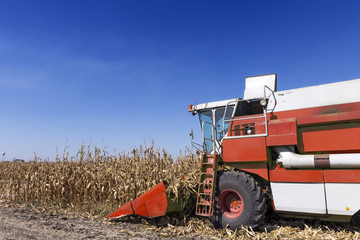 Obraz premium Combine Harvester Working On Maize Field