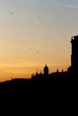 Obraz premium SIlhouetted Church with Seagulls Flying by in Porto