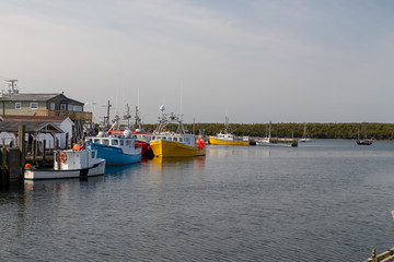 Fototapeta premium fishing boats in autumn sunshine, dockside, eastern passage nova scotia