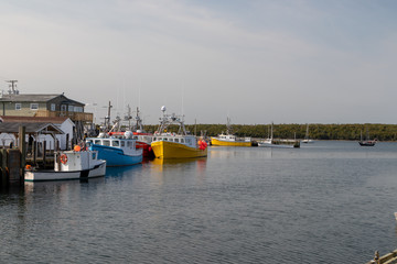 fishing boats in autumn sunshine, dockside, eastern passage nova scotia