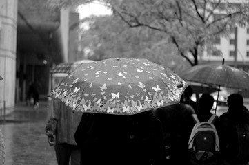 An umbrella on a rainy day - Montreal, Canada