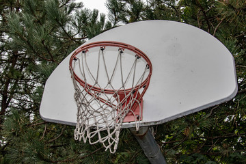 basketball hoop