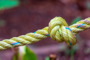 knot
