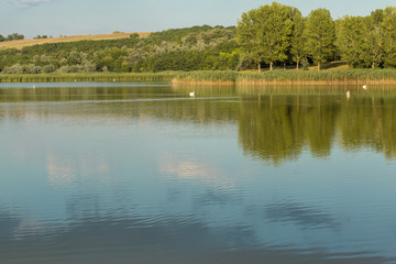 Fototapeta na wymiar Beautiful panorama of the lake with pelicans