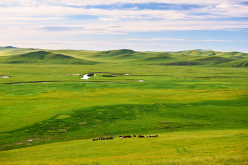 Obraz premium The Muzigler river valley of Hulunbuir grassland of China.