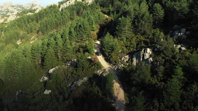 Video from above, aerial view of an off road car that is passing on a dirt road among the green mountains of Mount Limbara in Sardinia, Italy.