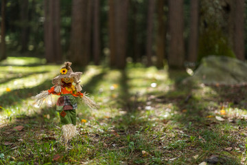 Toy Scare Crow Low to the Ground in a Forest