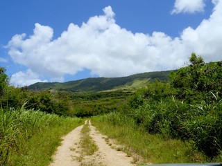 This rugged road weaves its way in and around the Rota jungles in the Northern Mariana Islands.