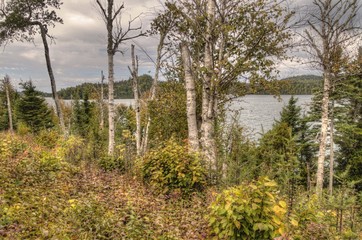 Isle Royale National Park is an Isolated Island in Lake Superior between Minnesota and Michigan