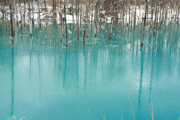 初冬の湖　美瑛町