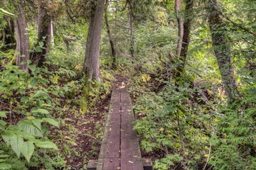 Isle Royale National Park is an Isolated Island in Lake Superior between Minnesota and Michigan