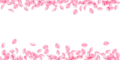 Fototapeta na wymiar Sakura petals falling down. Romantic pink silky big flowers. Thick flying cherry petals. Wide scatte