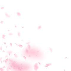 Fototapeta na wymiar Sakura petals falling down. Romantic pink flowers corner. Flying petals on white square background. 