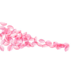 Sakura petals falling down. Romantic pink silky big flowers. Thick flying cherry petals. Square shap