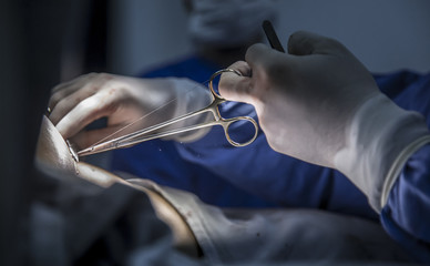 surgical suture medicine