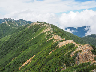 Obraz premium 稜線の道