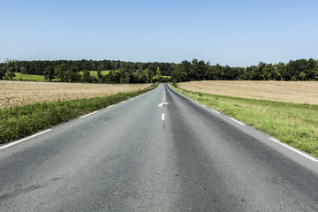 Asphalt road between fields