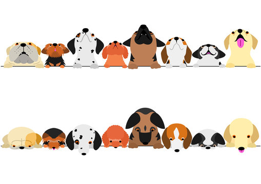 cute dogs looking up and down border set