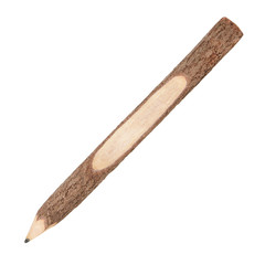 pencil stylized tree branch isolated on white background