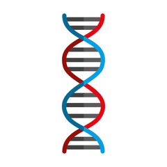dna molecule isolated icon