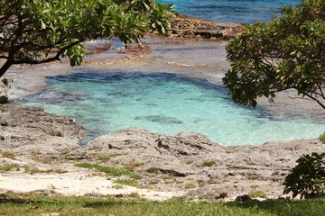 Natural swimming hole on Rota, Northern Mariana Islands, framed by two small trees