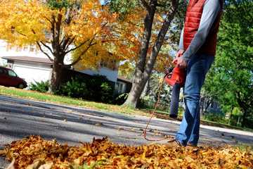 Man working with  leaf blower: the leaves are being swirled up and down on a sunny day