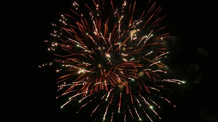 Explosion of fireworks in the dark skies 