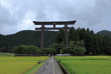 日本の大鳥居