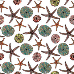 Seamless vector sea pattern. Seashell, various seashells, starfish