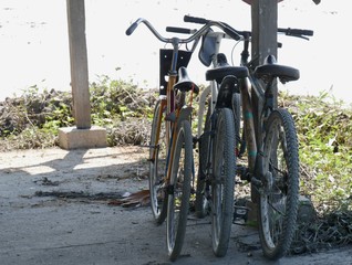 Three bicycles leaning against a wooden post in an outdoors structure