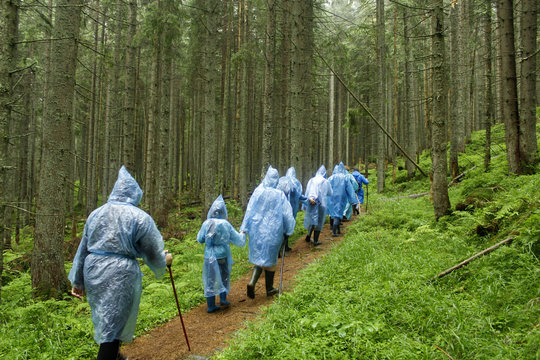 Group of hikers in the mountains