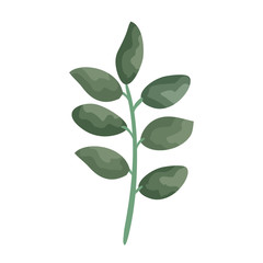 branch with leafs icon