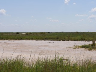  Salt plain with green patches of grass