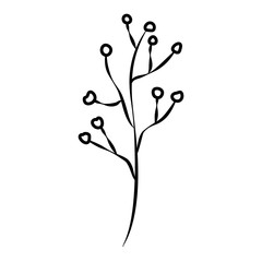 branch with seeds icon