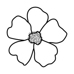 beautiful flower isolated icon