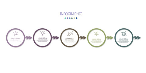 modern infographic timelime with 5 options label design template vector