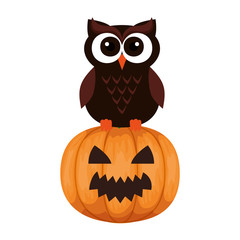 happy halloween owl with pumpkin